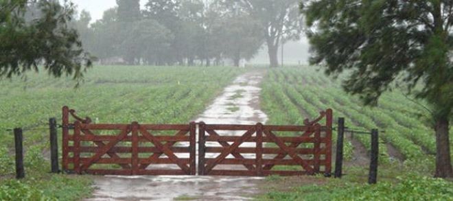 Bolsa de Cereales de Bahía Blanca: Menos temperaturas y lluvias.